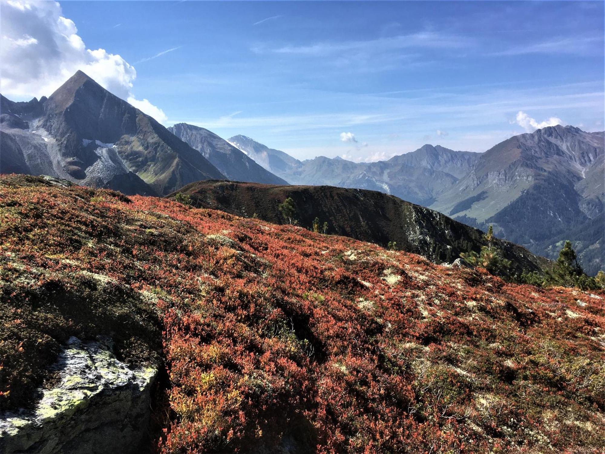 Monas Home Mayrhofen Kültér fotó